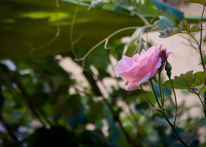 招待所 Sara 圣塞波尔克罗